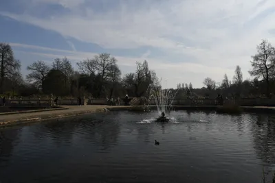 DSC_6871 (Large).JPG